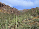 photo thumbnail #2