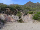 photo thumbnail #4