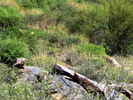 photo thumbnail #9