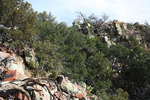 photo thumbnail #8