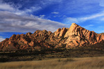 photo thumbnail #9