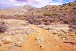 photo thumbnail #5