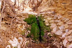 Featured Detail Photo