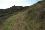 photo thumbnail #2