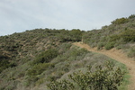 photo thumbnail #10
