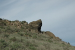 photo thumbnail #12