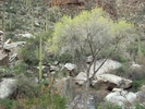 photo thumbnail #3