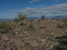 photo thumbnail #4