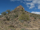 photo thumbnail #11