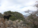 photo thumbnail #7