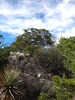 photo thumbnail #14