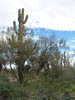 photo thumbnail #2