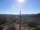 photo thumbnail #2