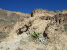 photo thumbnail #2
