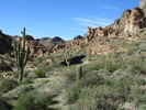 photo thumbnail #5