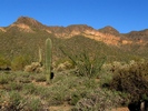 photo thumbnail #4