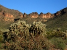 photo thumbnail #5