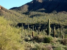 photo thumbnail #6