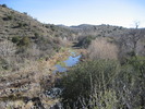 photo thumbnail #2