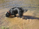 photo thumbnail #3