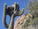 photo thumbnail #5