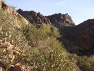 photo thumbnail #9