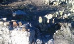 photo thumbnail #5