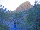 photo thumbnail #7