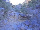 photo thumbnail #8