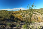 photo thumbnail #10