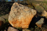 photo thumbnail #12