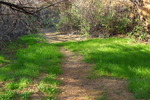 photo thumbnail #13