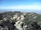 recent photo