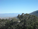recent photo