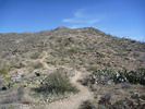 photo thumbnail #8