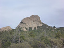 recent photo