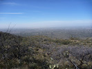 photo thumbnail #12