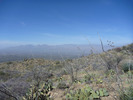 photo thumbnail #13