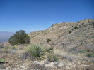 photo thumbnail #15