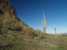 photo thumbnail #3