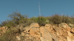 photo thumbnail #10