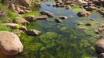 photo thumbnail #13