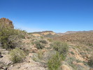 photo thumbnail #8