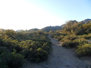 photo thumbnail #2