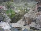 photo thumbnail #10