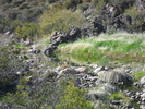 photo thumbnail #11