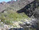 photo thumbnail #12