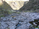 photo thumbnail #13