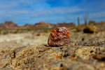 photo thumbnail #13