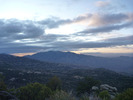 recent photo